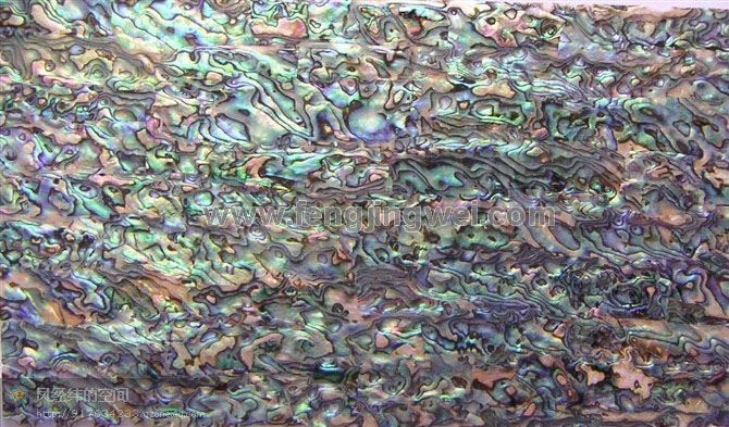 广州专业生产贝壳纸厂家-蓝鲍鱼贝壳纸