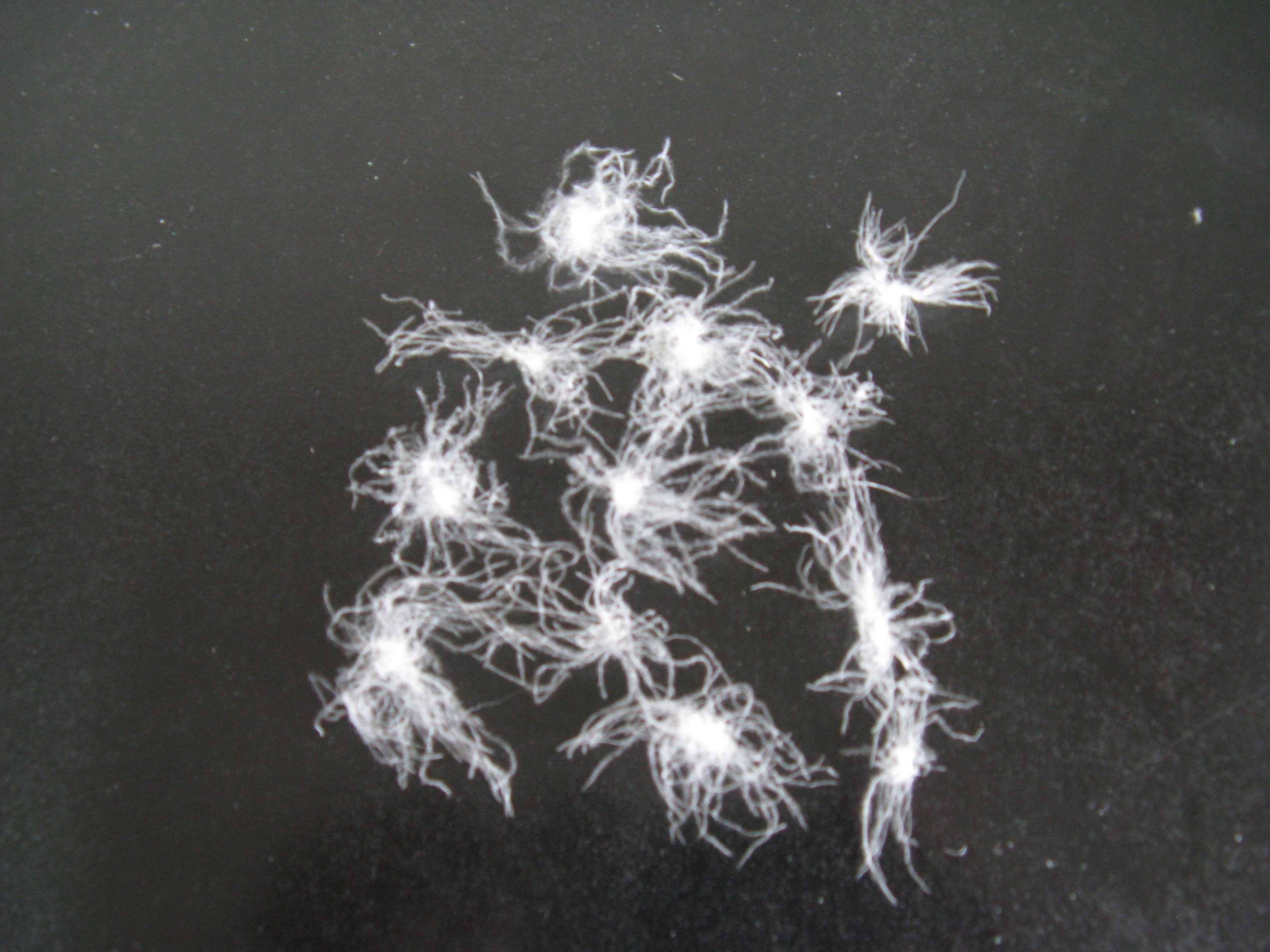 杭州萧山新塘霞江羽绒厂